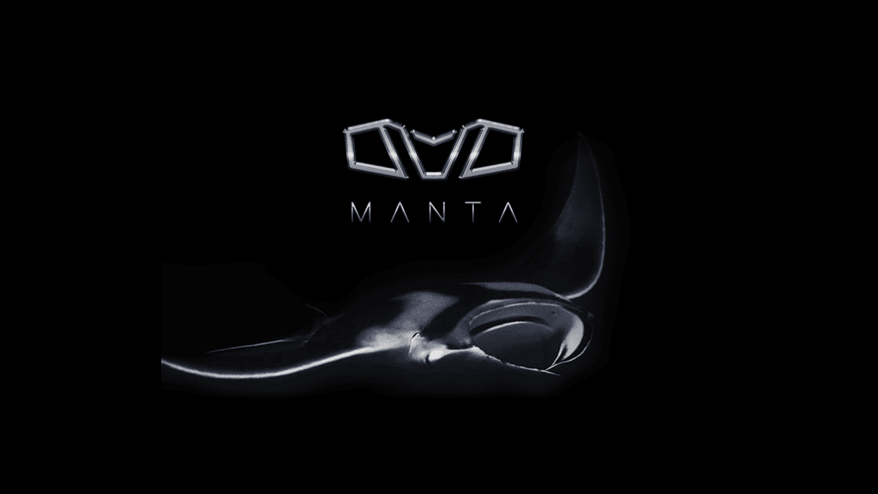 Manta VTOL Project